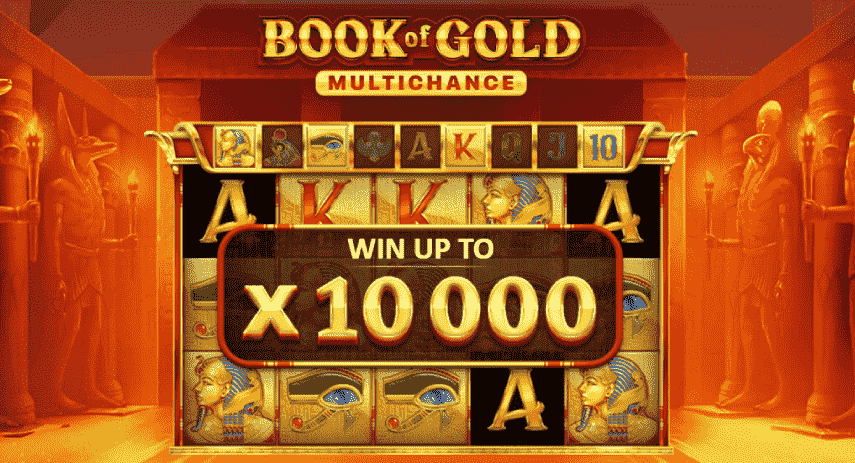 Book Of Gold Multichance